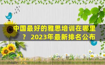 中国最好的雅思培训在哪里？ 2023年最新排名公布